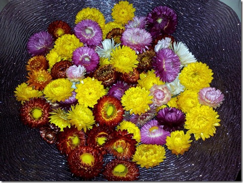 potpourri