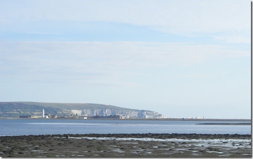 hurst-needles