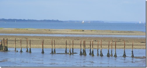 lowtide